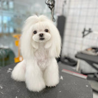 DOG BATH & BRUSH