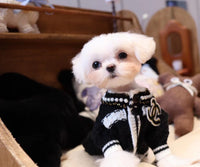 DOG FULL GROOMING